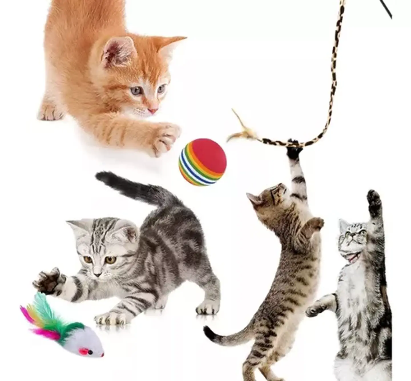 Pack 22 Juguetes Para Gato Interactivo Con Accesorios 3