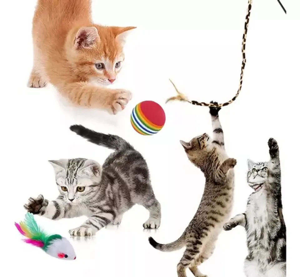 Pack 22 Juguetes Para Gato Interactivo Con Accesorios 3