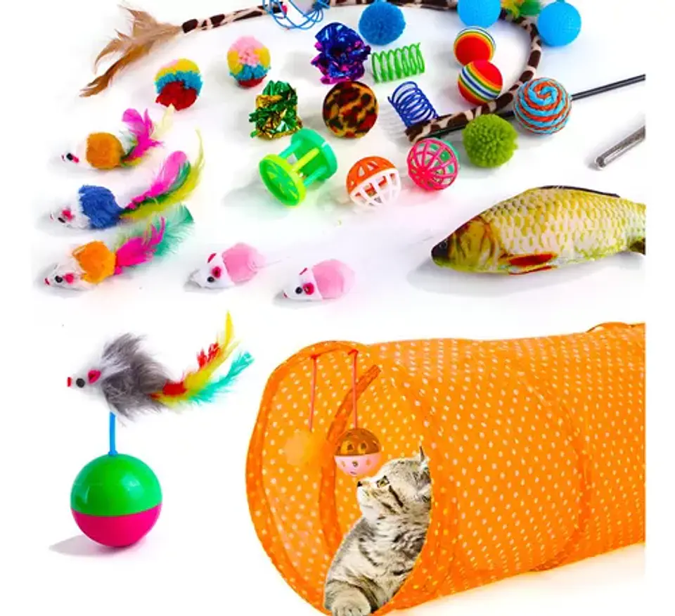 Pack 22 Juguetes Para Gato Interactivo Con Accesorios 1