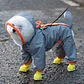 Impermeable Para Perro Chubasquero M-XXL - Miniatura 4