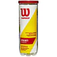 Pelotas de Tennis Wilson Extra Duty Pack 3 unidades - Miniatura 2