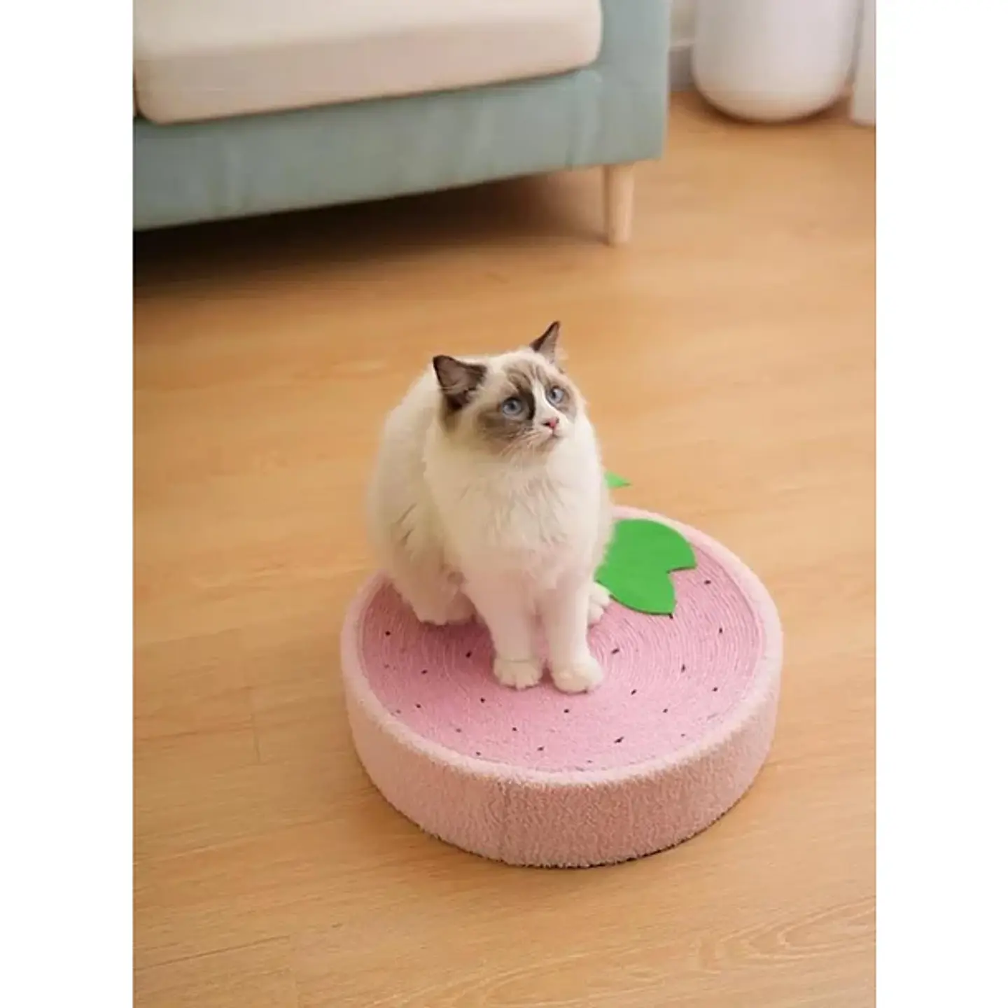Rascador De Cama Con Forma Redonda De Sisal De Frutas 12