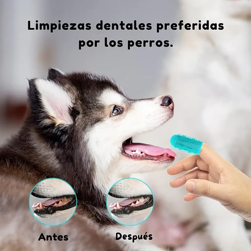 Pack 4 Cepillos Dedal Limpiadientes Para Perros 6