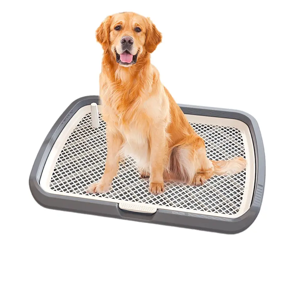 Baño Inodoro De Entrenamiento Para Perros Con Pilar Urinario 7