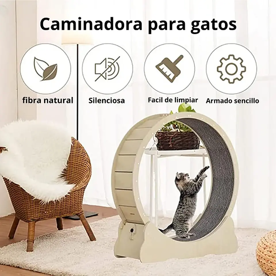 Rueda Caminadora Para Gatos Entrenamiento Gigante XL 2