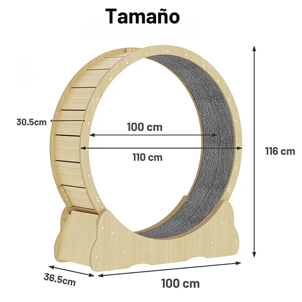 Rueda Caminadora Para Gatos Entrenamiento Gigante XL 6