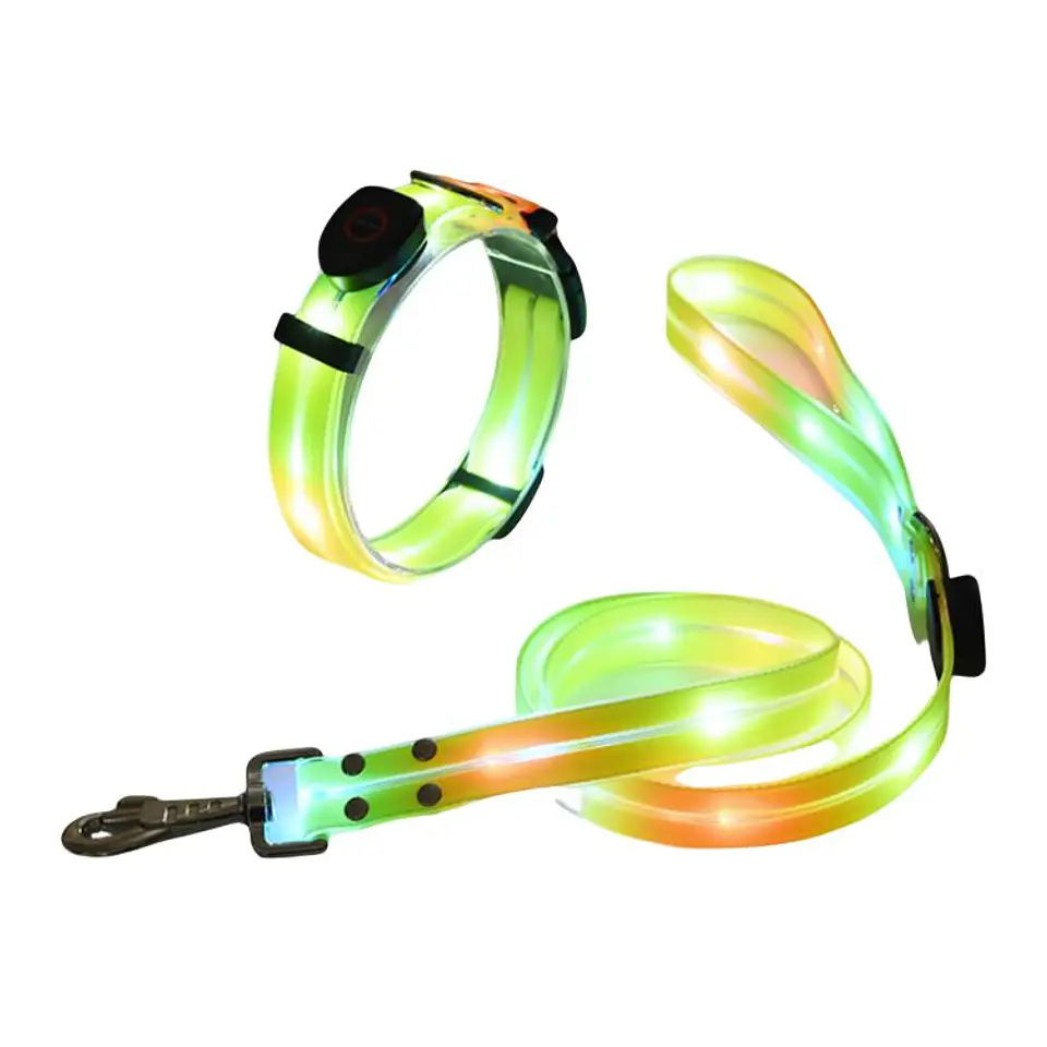 Correa + Collar Con Luces LED Impermeable 4
