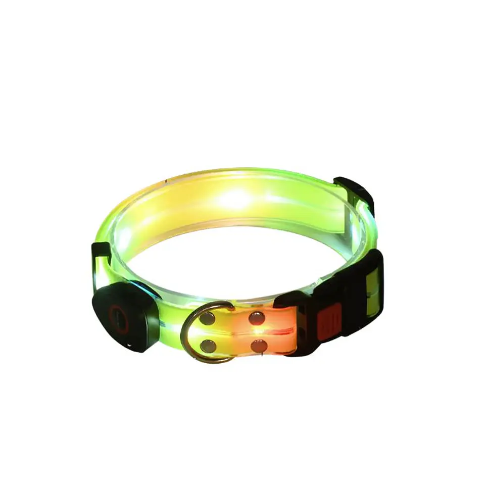 Correa + Collar Con Luces LED Impermeable 5