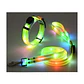 Correa + Collar Con Luces LED Impermeable - Miniatura 7