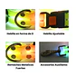 Correa + Collar Con Luces LED Impermeable - Miniatura 8
