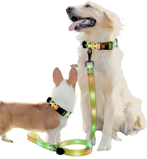 Correa + Collar Con Luces LED Impermeable