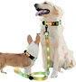Correa + Collar Con Luces LED Impermeable - Miniatura 1