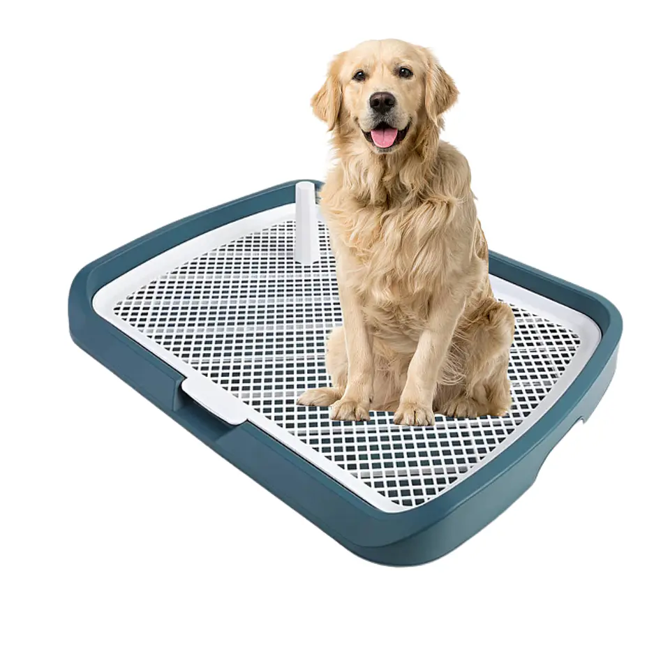 Baño Inodoro De Entrenamiento Para Perros Con Pilar Urinario 1