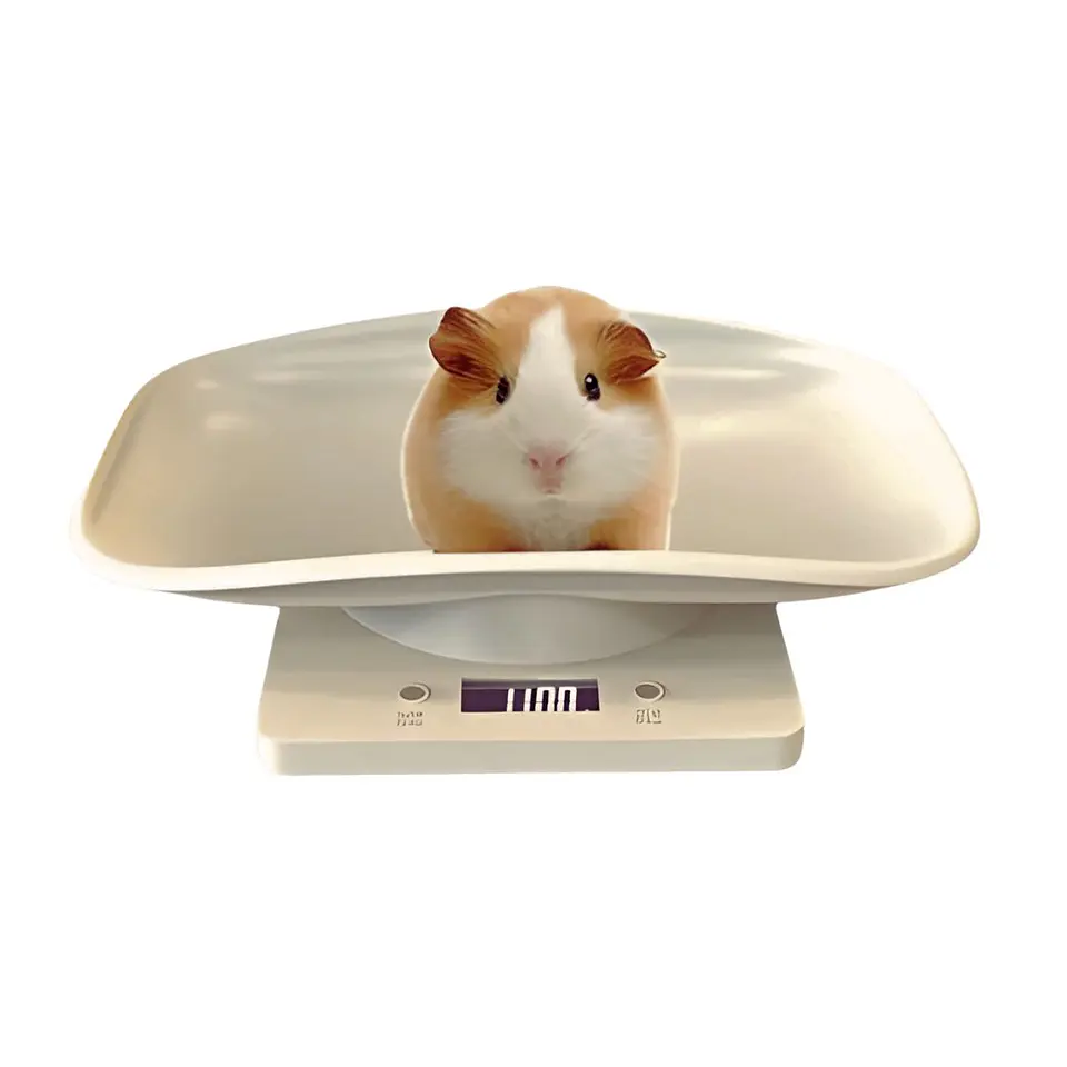 Balanza Bascula Digital Para Mascotas Bebes LCD 10kg 2