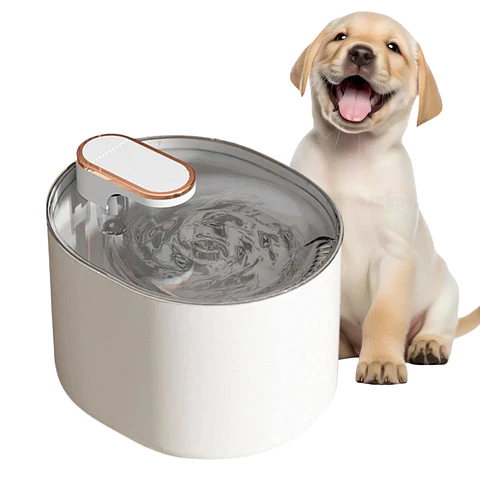 Bebedero Automático Gatos Perros Fuente Agua 3L