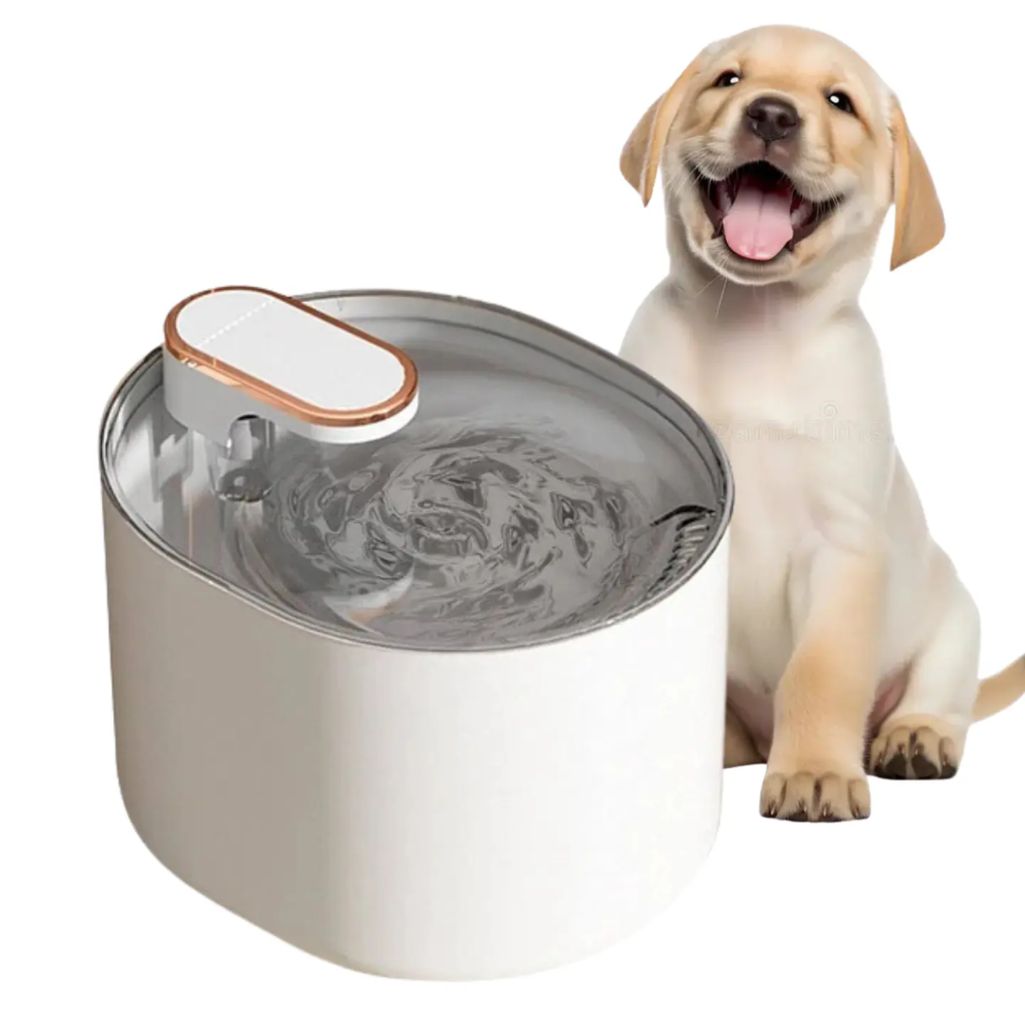 Bebedero Automático Gatos Perros Fuente Agua 3L 1