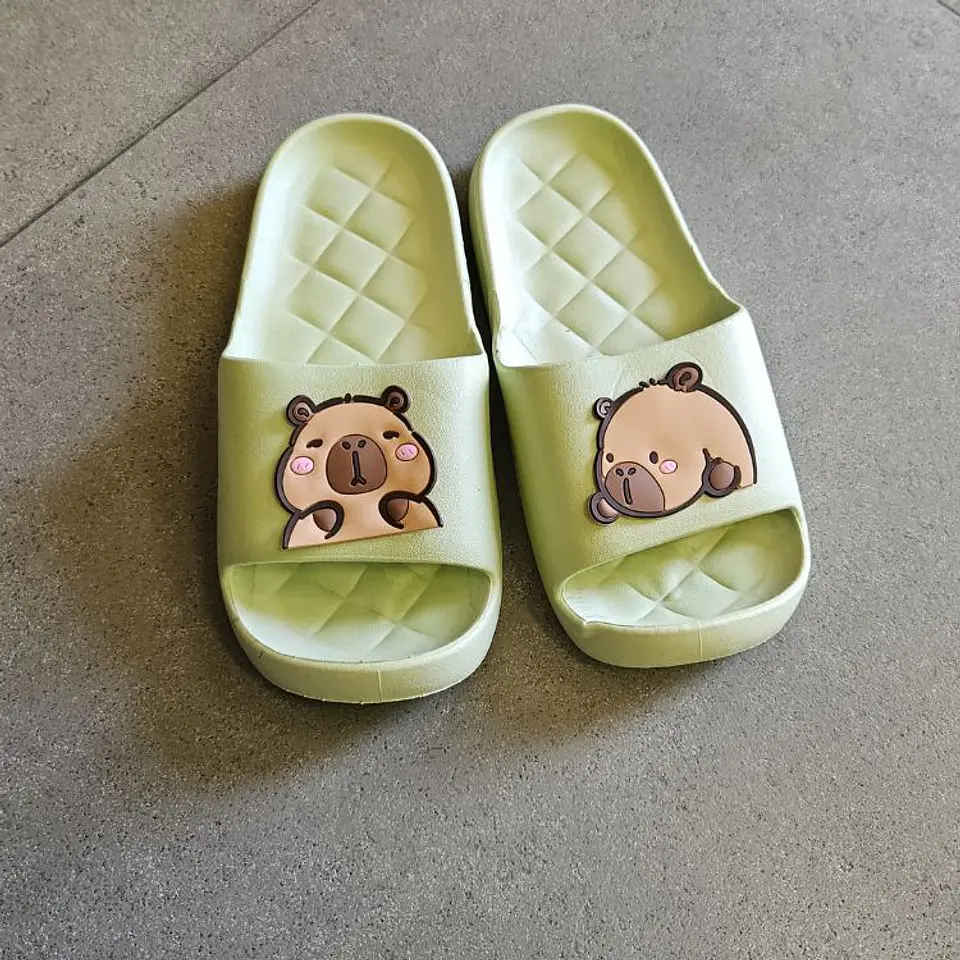 Sandalias Capibara Unisex Confort Chancla Verano 12
