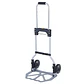 Carretilla De Carga Yegua Plegable Extensible Soporte 100 Kg - Miniatura 1