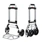 Carretilla De Carga Yegua Plegable Extensible Soporte 100 Kg - Miniatura 2