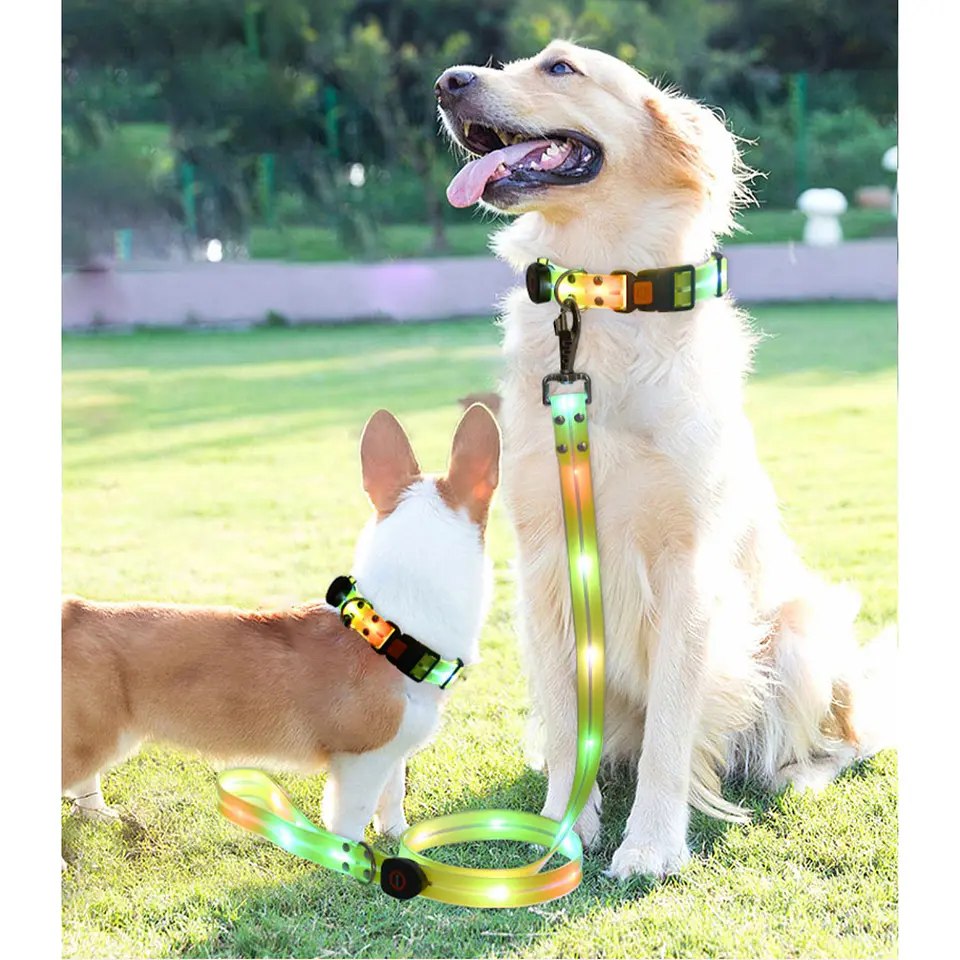 Correa + Collar Con Luces LED Impermeable 10