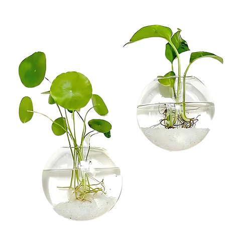 Pack 2 Macetas De Vidrio Colgante Transparente Pared 13cm