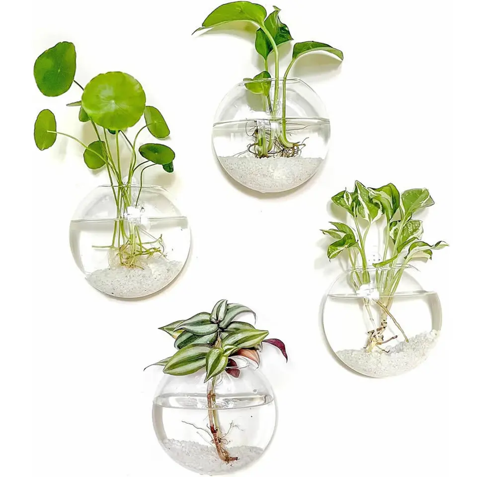 Pack 2 Macetas De Vidrio Colgante Transparente Pared 13cm 3
