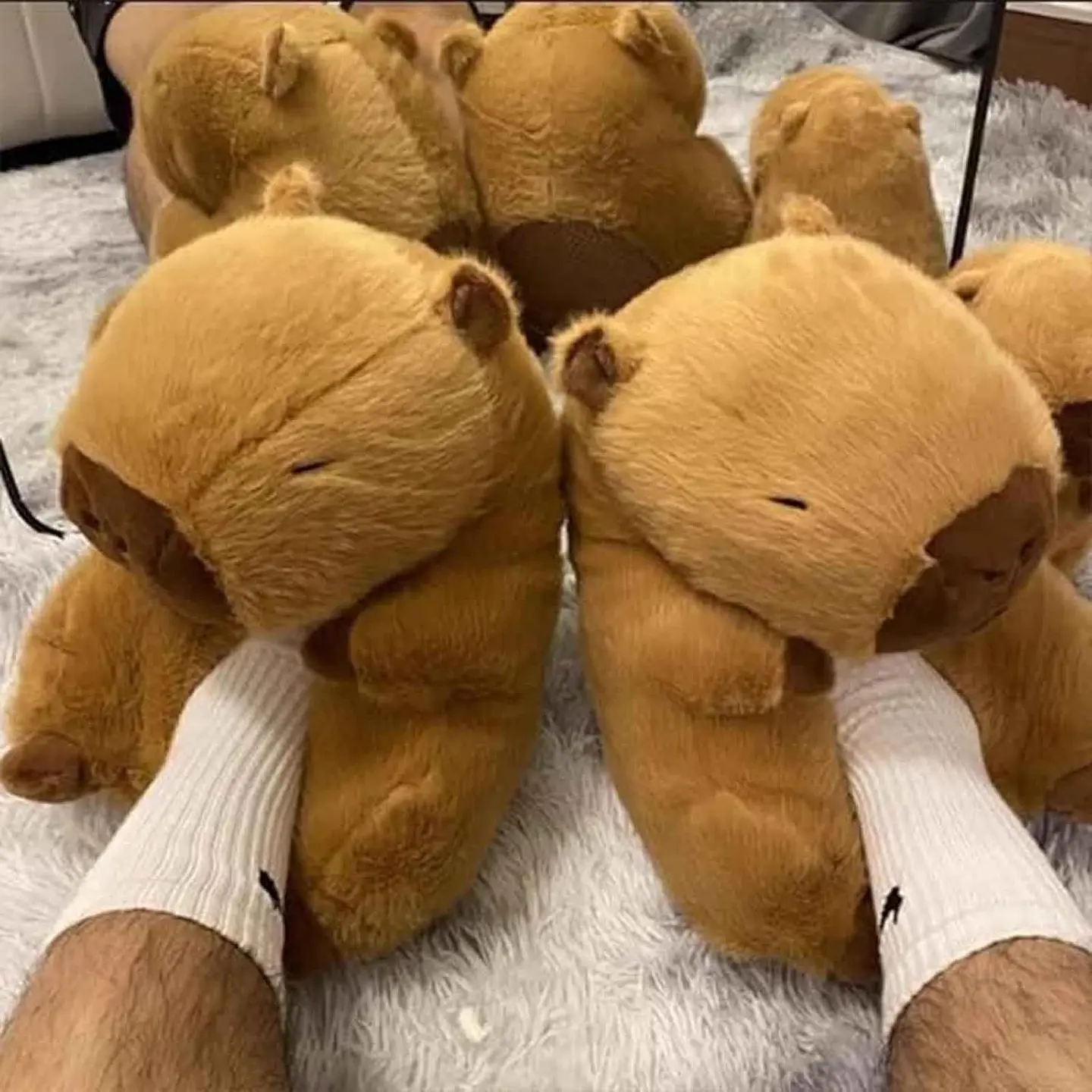 Pantuflas De Algodon Capibara Kawaii Invierno Confort 4
