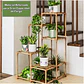 Estante Para Macetas Soporte De Plantas Huerto Decorativo - Miniatura 7
