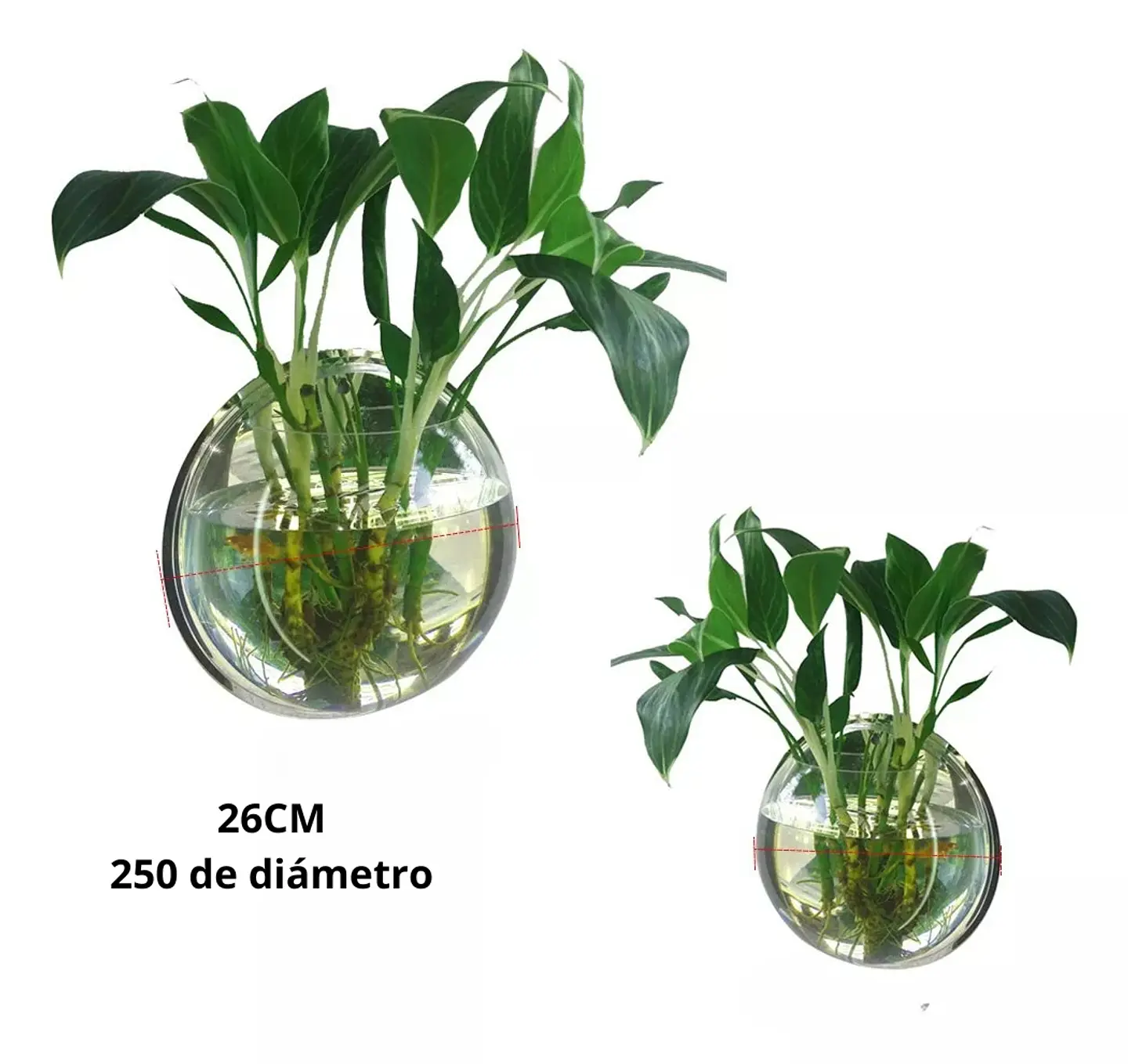 Maceta Colgante De Acrílico Transparente Pared 26cm 5
