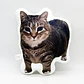 Almohada Con Gato Estampado Divertido Cómoda 26 cm - Miniatura 1