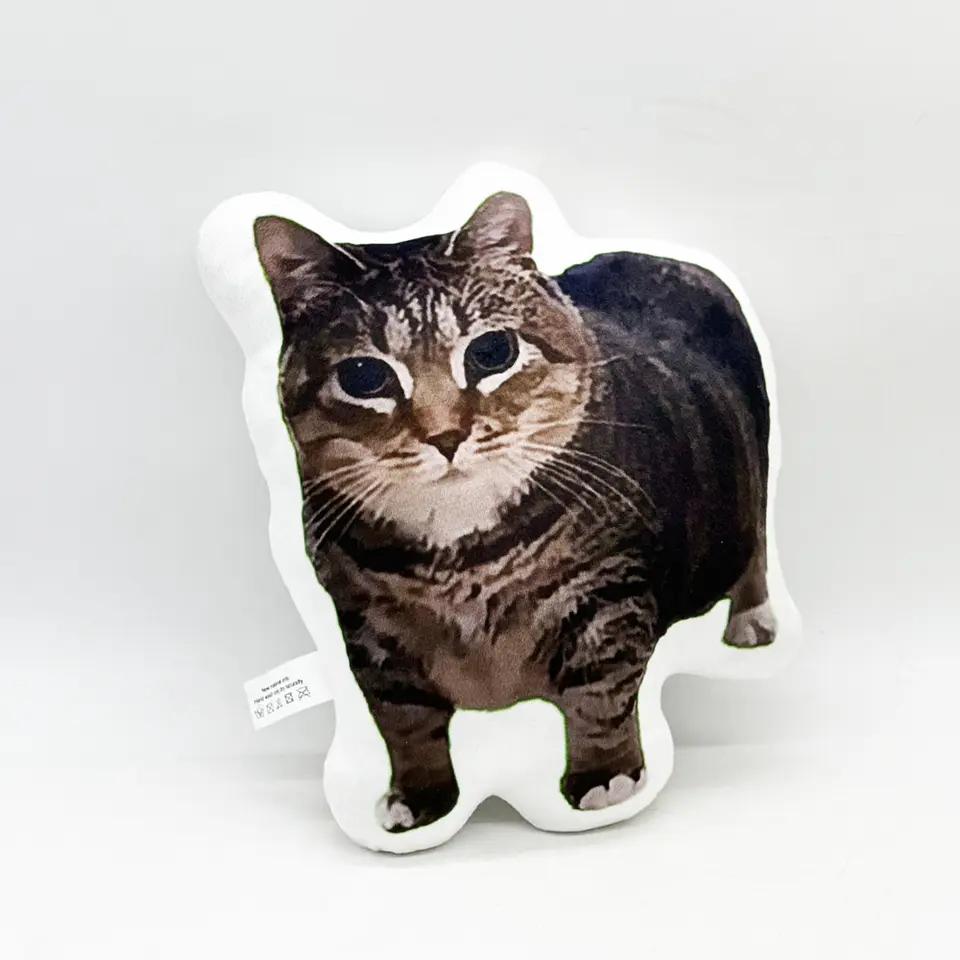 Almohada Con Gato Estampado Divertido Cómoda 26 cm 2