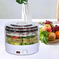 Deshidratador De Alimentos Frutas Verduras 220V Electrico - Miniatura 2