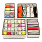 Set 4 Organizadores De Ropa Interior Plegable Armario - Miniatura 1