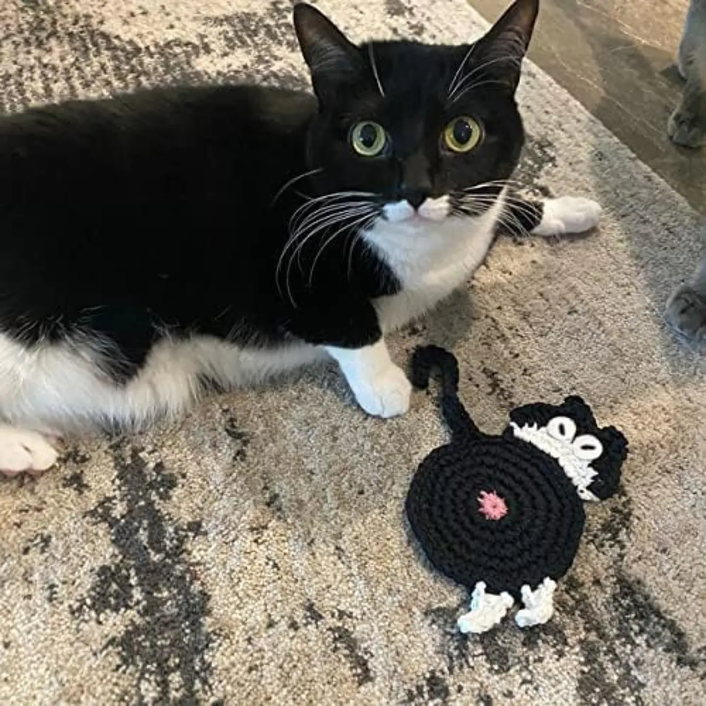 Pack 2 Posavasos De Gato Tejido a Punto Regalo Divertido 10