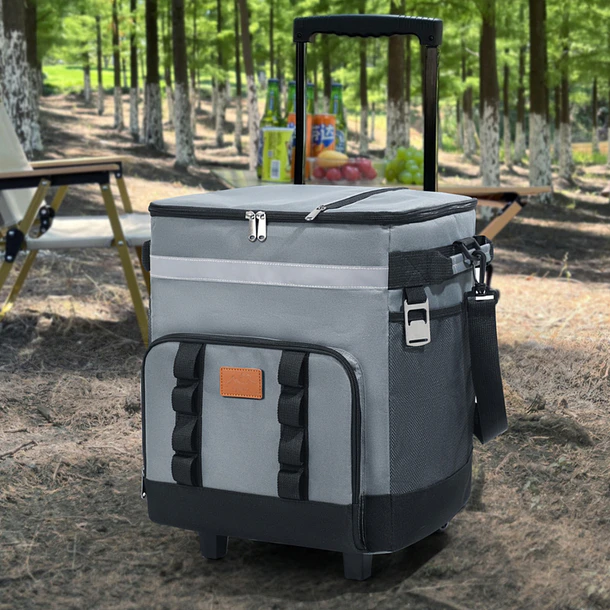 Bolso Cooler Portátil Con Ruedas Térmico Para Picnic 8