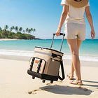 Bolso Cooler Portátil Con Ruedas Térmico Para Picnic 14