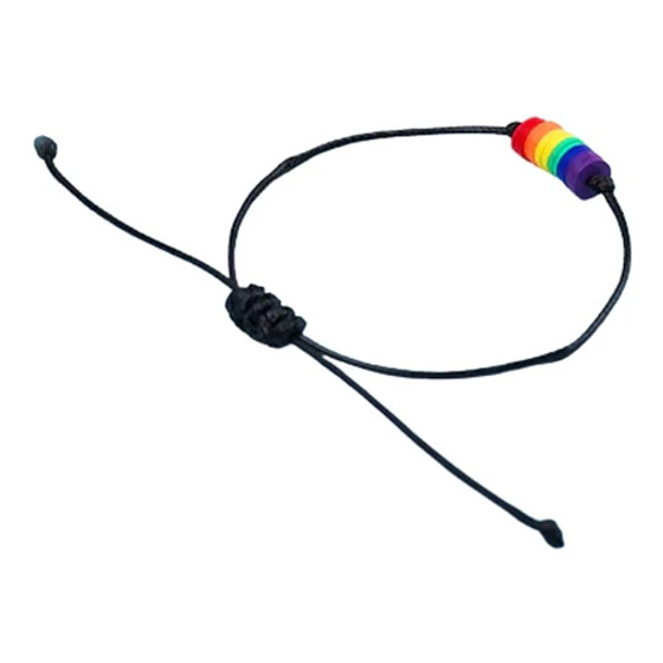Pack 10 Pulsera Arcoíris Unisex Brazalete De Cuerda Bandera 2