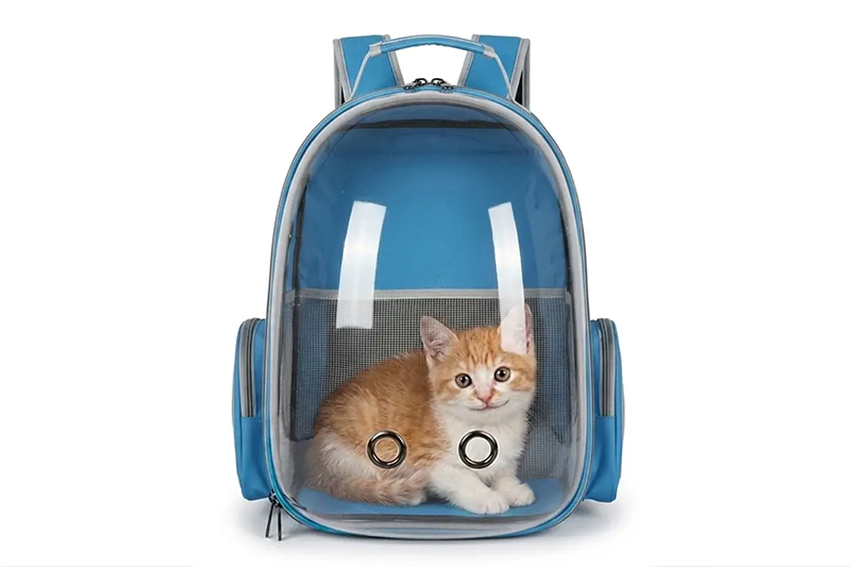 Productos para mascotas y accesorios para perros y gatos