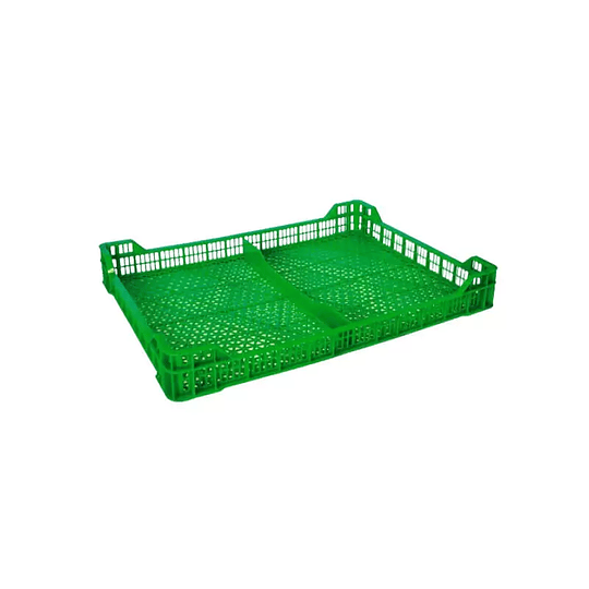 CAJA AGRO BERRIES 45X34 G2 VERDE