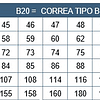 Correas  B  24 .( 24