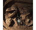 Zoologist Tyrannosaurus Rex - 3ml Decants T-rex