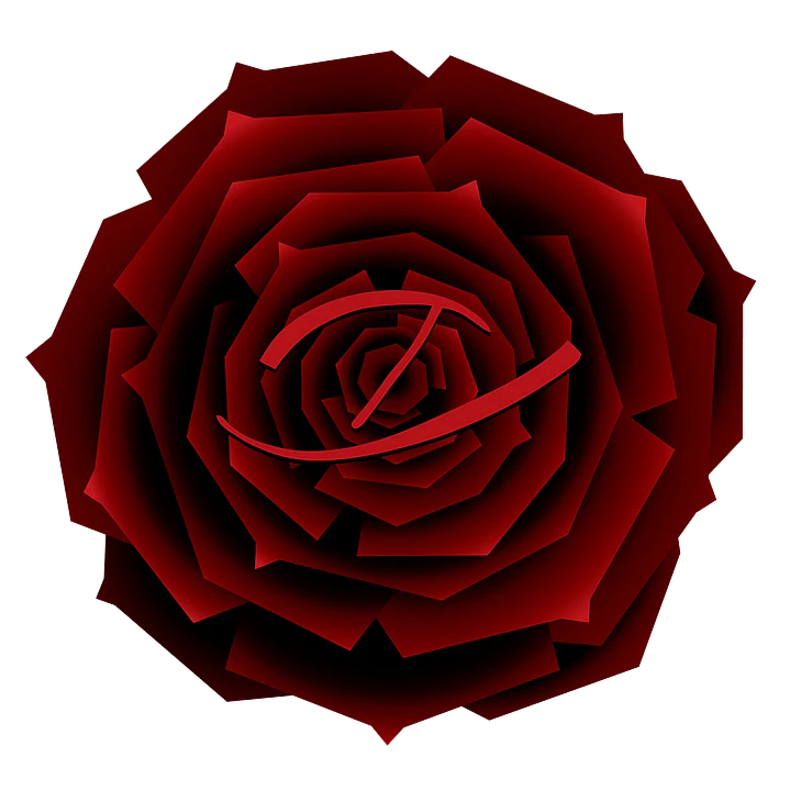 Zaharoff Signature Black Rosé EDP 120ml 2