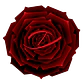 Zaharoff Signature Black Rosé EDP 120ml - Miniatura 2