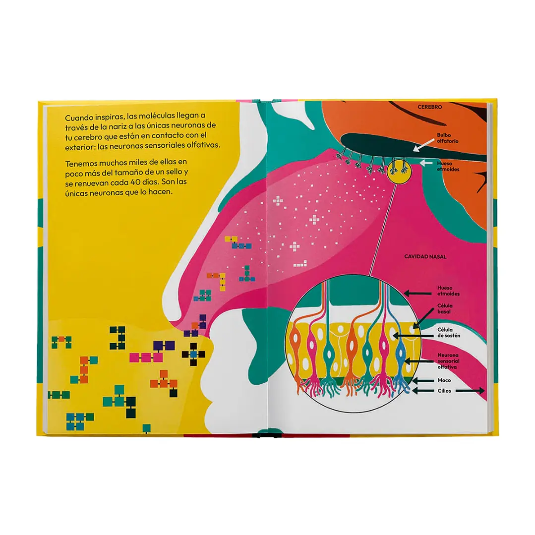 Libro Oler. Aromas, Esencias, Hedores Y Pestilencias 2