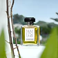 Numero Uno Carthusia EDP 100ml - Miniatura 3
