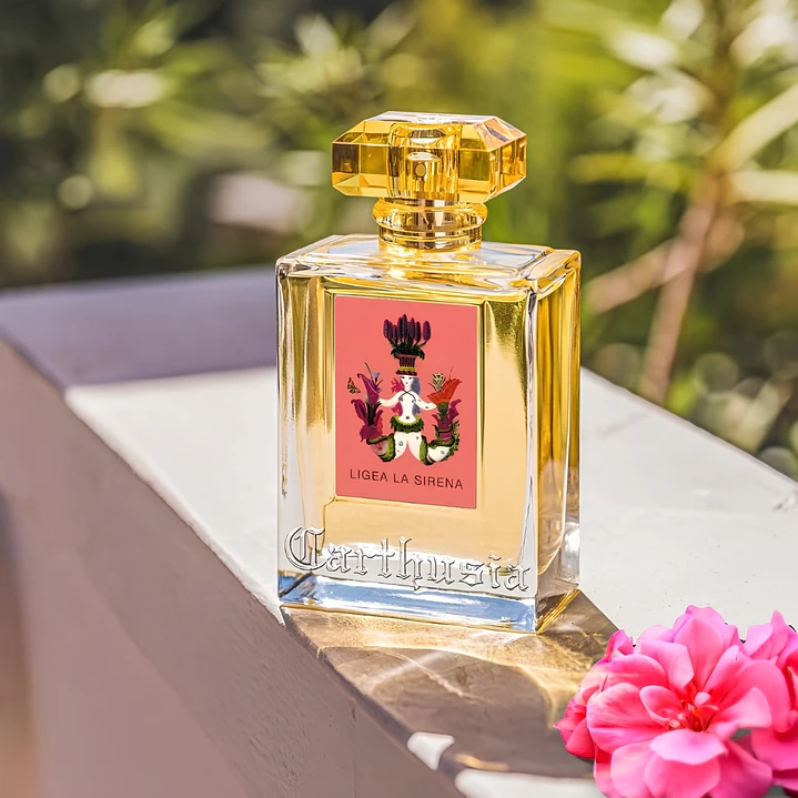 Ligea La Sirena Carthusia  EDP 100ml 3