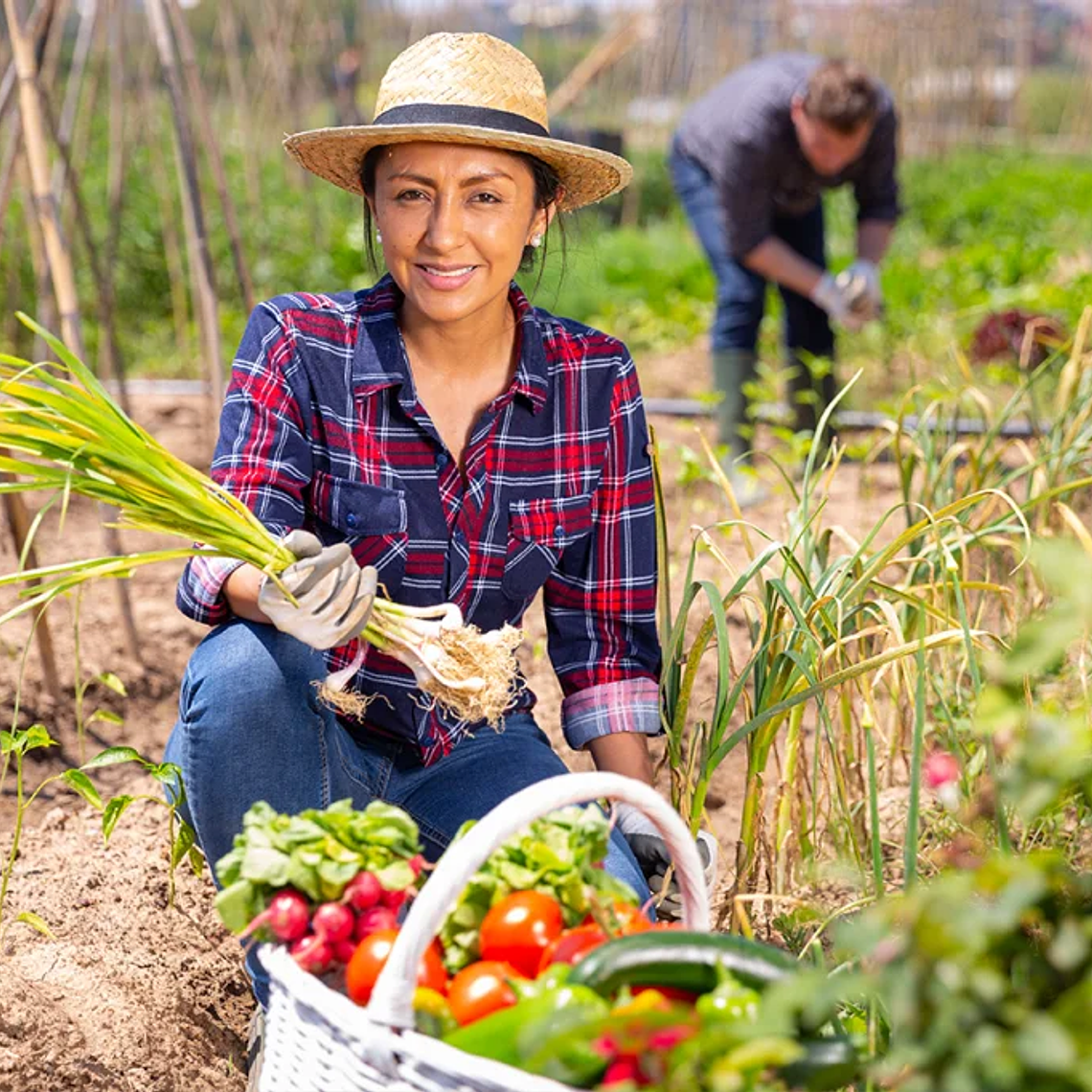 Formaliza tu emprendimiento desde 1