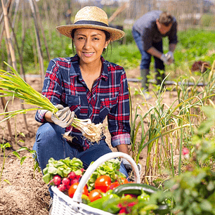 Formaliza tu emprendimiento desde
