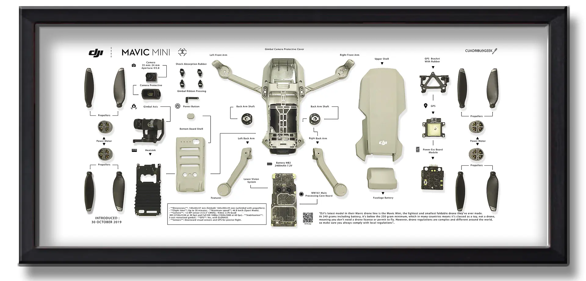 Formato Medio Drone Dji Mavic Mini 1