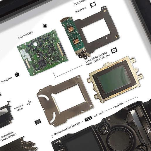 Gran Formato Cámara Fotográfica  1-ds Digital Full Frame 7